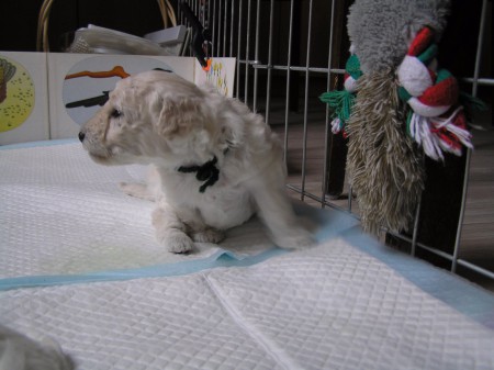 ...ale pořád se ještě některá zapomíná...